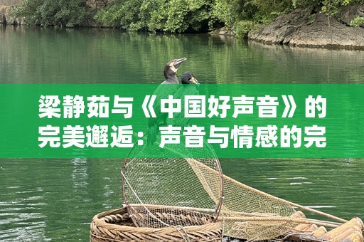 梁静茹与《中国好声音》的完美邂逅：声音与情感的完美融合