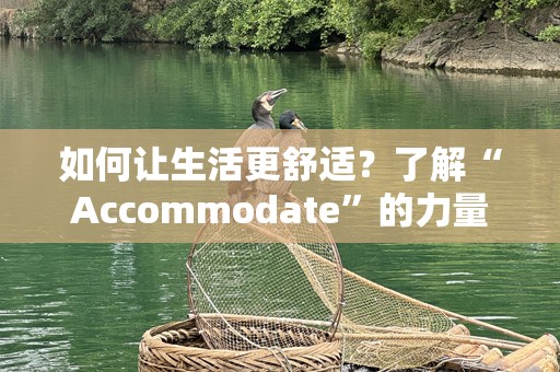 如何让生活更舒适？了解“Accommodate”的力量