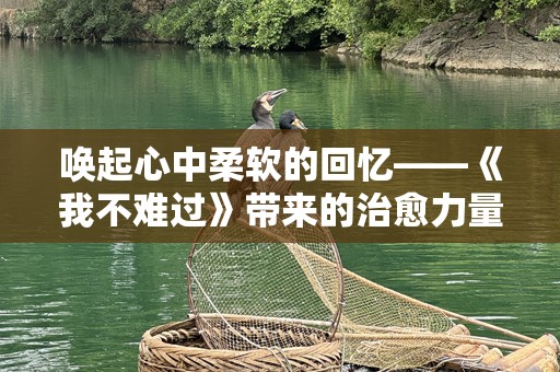 唤起心中柔软的回忆——《我不难过》带来的治愈力量