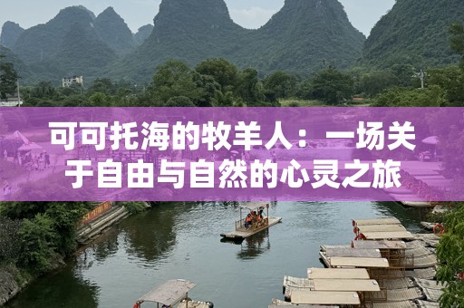 可可托海的牧羊人：一场关于自由与自然的心灵之旅