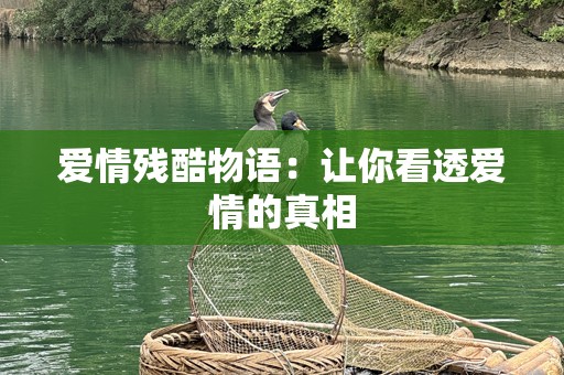 爱情残酷物语：让你看透爱情的真相