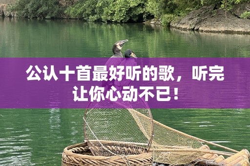公认十首最好听的歌，听完让你心动不已！