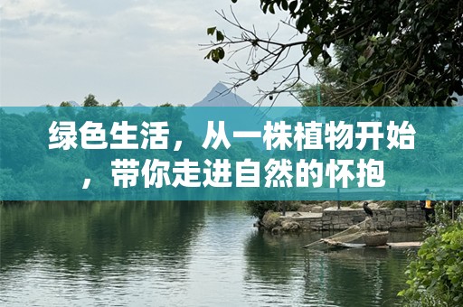 绿色生活，从一株植物开始，带你走进自然的怀抱