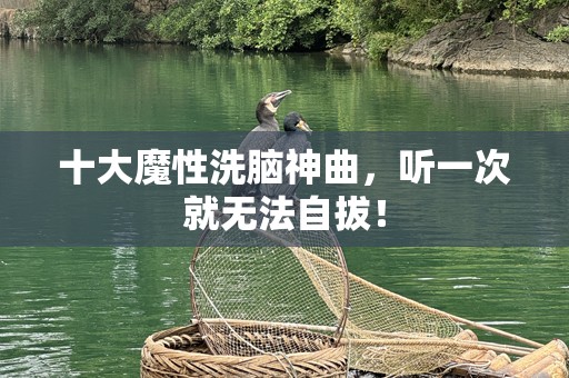 十大魔性***神曲，听一次就无法自拔！