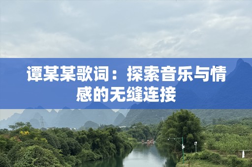 谭某某歌词：探索音乐与情感的无缝连接