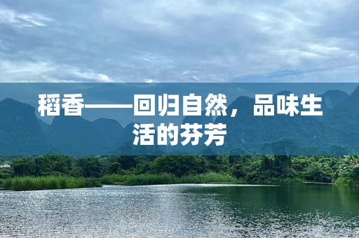 稻香——回归自然，品味生活的芬芳