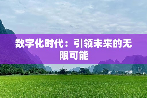 数字化时代：引领未来的无限可能