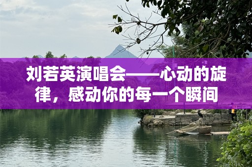 刘若英演唱会——心动的旋律，感动你的每一个瞬间
