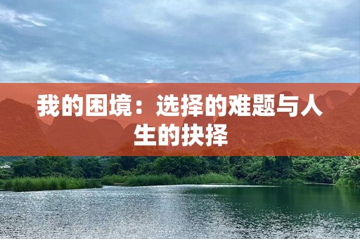 我的困境：选择的难题与人生的抉择