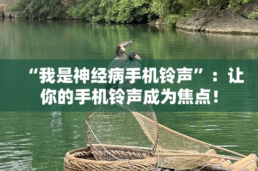 “我是神经病手机铃声”：让你的手机铃声成为焦点！