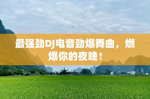 最强劲DJ电音劲爆舞曲，燃爆你的夜晚！