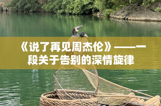 《说了再见周杰伦》——一段关于告别的深情旋律
