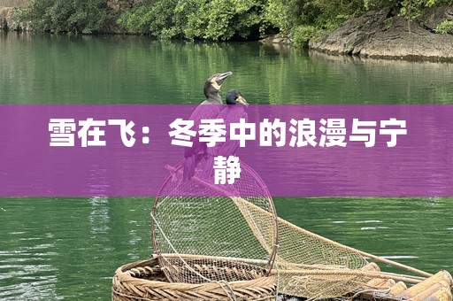 雪在飞：冬季中的浪漫与宁静