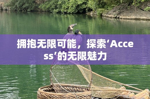 拥抱无限可能，探索‘Access’的无限魅力