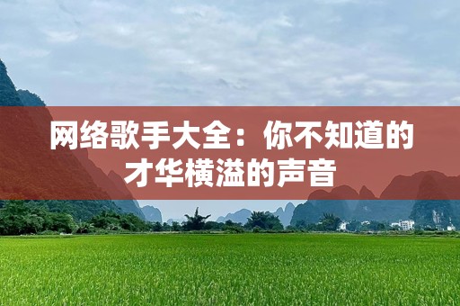 网络歌手大全：你不知道的才华横溢的声音