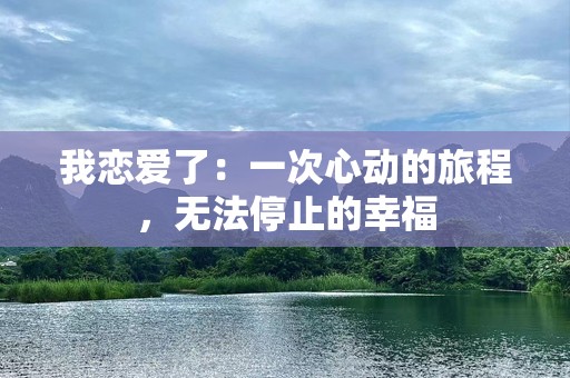 我恋爱了：一次心动的旅程，无法停止的幸福