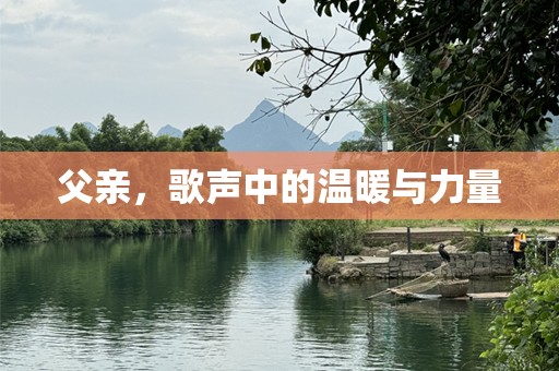 父亲，歌声中的温暖与力量