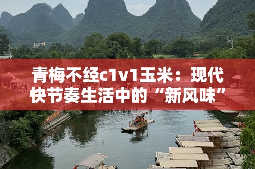青梅不经c1v1玉米：现代快节奏生活中的“新风味”