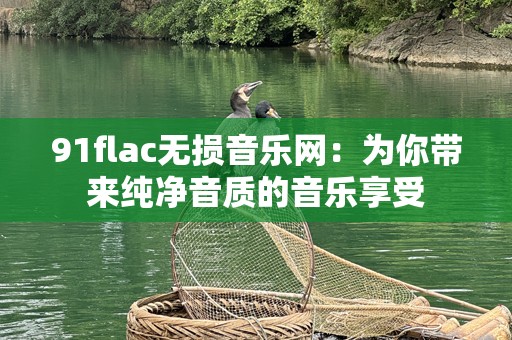 91flac无损音乐网：为你带来纯净音质的音乐享受
