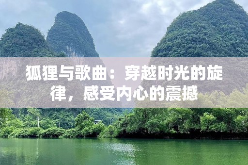 狐狸与歌曲：穿越时光的旋律，感受内心的震撼