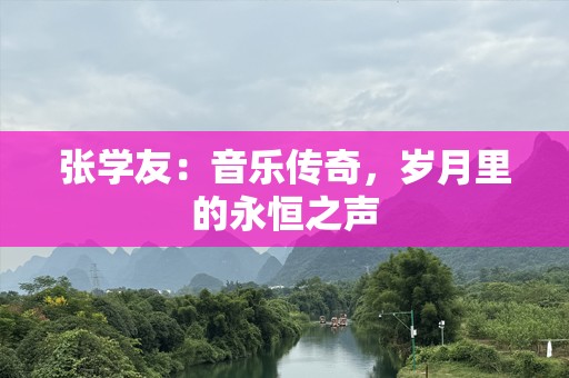 张学友：音乐传奇，岁月里的永恒之声
