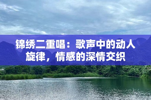 锦绣二重唱：歌声中的动人旋律，情感的深情交织