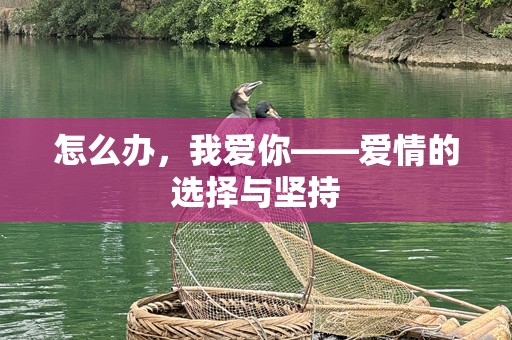 怎么办，我爱你——爱情的选择与坚持