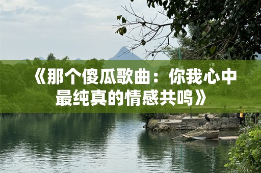 《那个傻瓜歌曲：你我心中最纯真的情感共鸣》