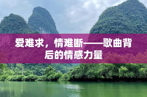 爱难求，情难断——歌曲背后的情感力量