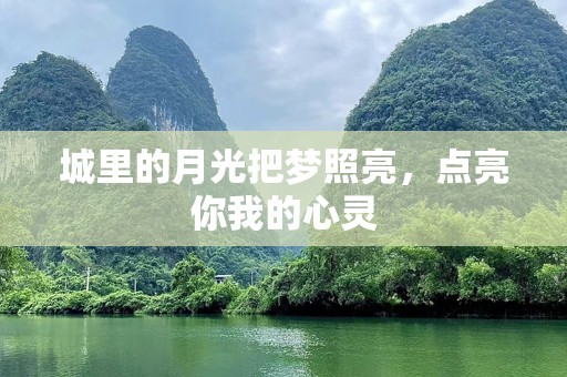 城里的月光把梦照亮，点亮你我的心灵