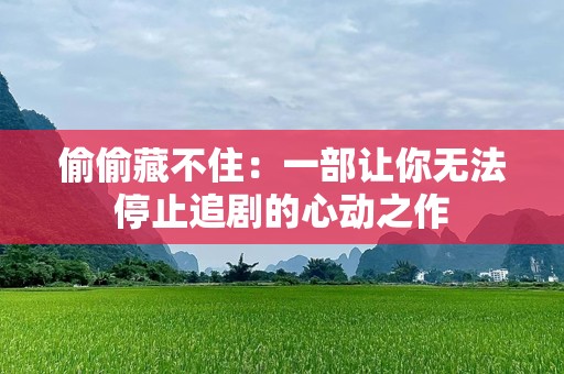 偷偷藏不住：一部让你无法停止追剧的心动之作