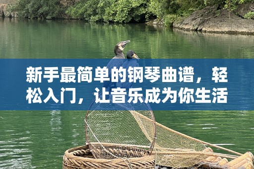 新手最简单的钢琴曲谱，轻松入门，让音乐成为你生活的一部分！
