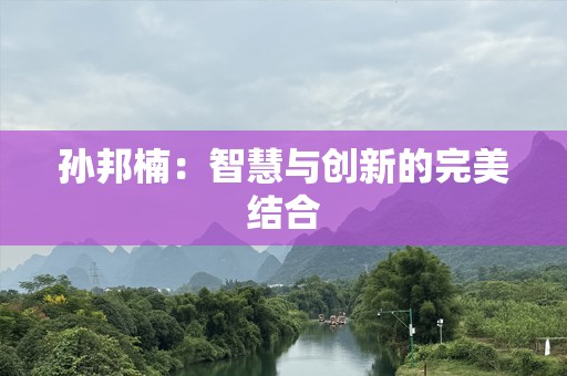 孙邦楠：智慧与创新的完美结合