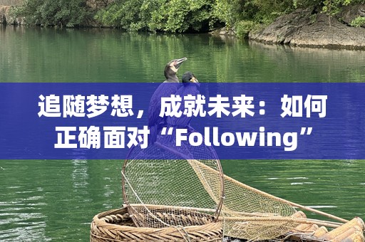 追随梦想，成就未来：如何正确面对“Following”