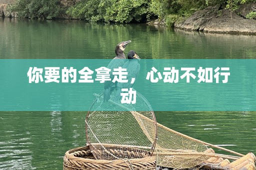 你要的全拿走，心动不如行动