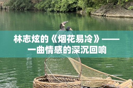 林志炫的《烟花易冷》——一曲情感的深沉回响