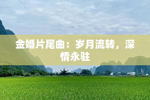 金婚片尾曲：岁月流转，深情永驻