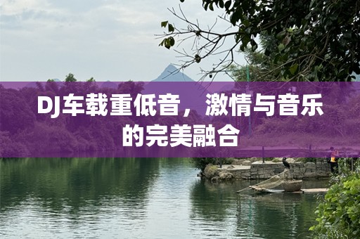 DJ车载重低音，激情与音乐的完美融合