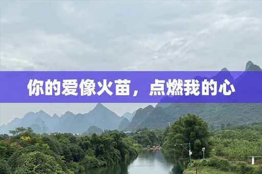 你的爱像火苗，点燃我的心