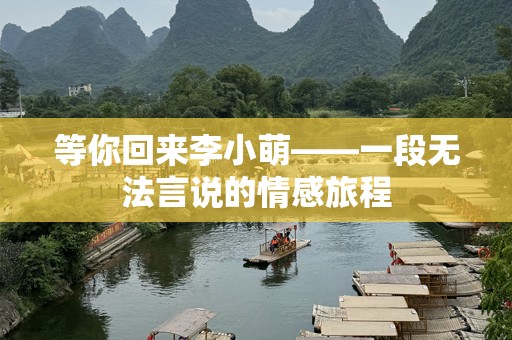 等你回来李小萌——一段无法言说的情感旅程