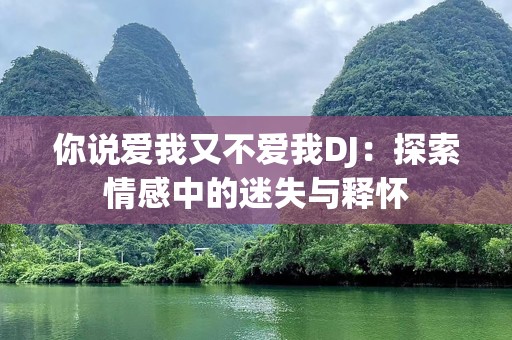 你说爱我又不爱我DJ：探索情感中的迷失与释怀