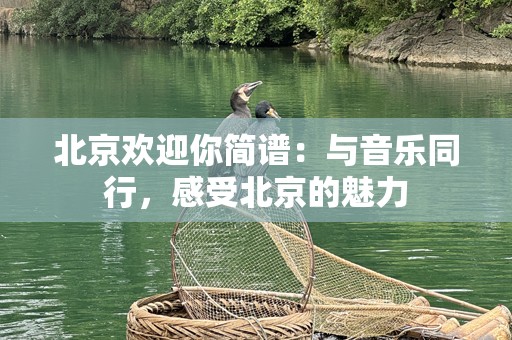 北京欢迎你简谱：与音乐同行，感受北京的魅力