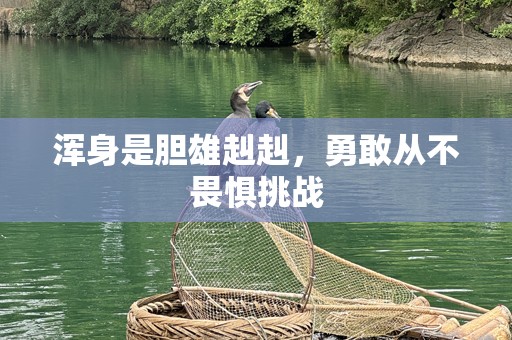 浑身是胆雄赳赳，勇敢从不畏惧挑战