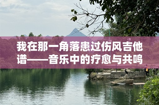 我在那一角落患过伤风吉他谱——音乐中的疗愈与共鸣