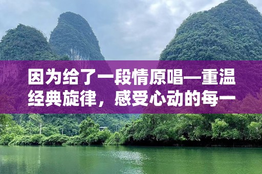 因为给了一段情原唱—重温经典旋律，感受心动的每一刻