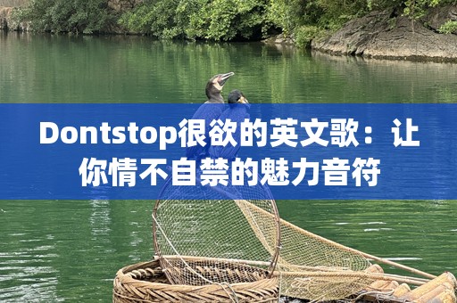 Dontstop很欲的英文歌：让你情不自禁的魅力音符