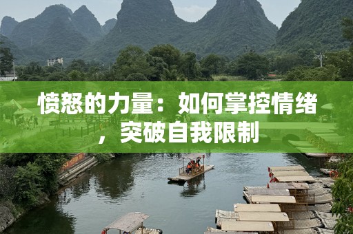 愤怒的力量：如何掌控情绪，突破自我限制