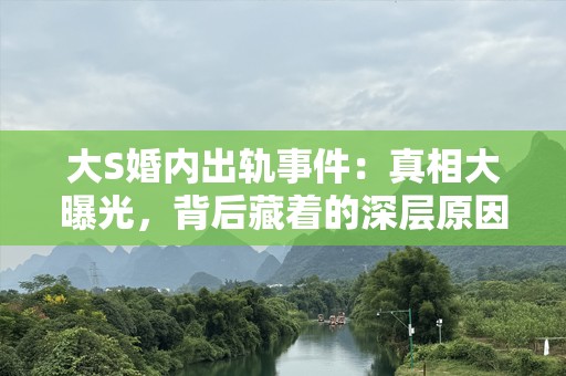 大S婚内出轨事件：真相大曝光，背后藏着的深层原因