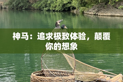 神马：追求极致体验，颠覆你的想象