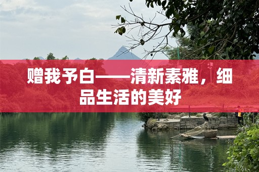 赠我予白——清新素雅，细品生活的美好